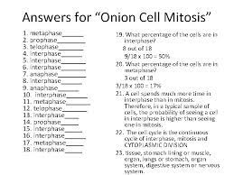 After which the chromosomes are pulled at the poles of the dividing cell by the spindle fibers attached. Mon Sept 28 Fri Oct 2 Mon Sept