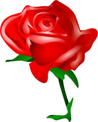 Red Rose Rose Clipart Flower Clipart Flower Illustration