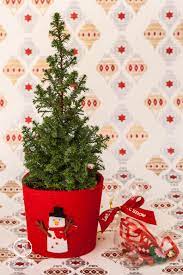 Pin By Roshini Murugupillai On Christmas Christmas Tree Decorations Xmas Tree Christmas Decorations