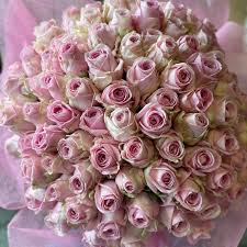 100 Red Roses: A Stunning Floral Fantasy for Every Occasion"