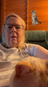 From Shelter cat to comfort cat