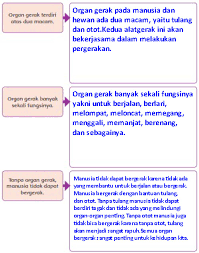 Jika ada yang perlu ditanyakan tersedia pembahasan soal dan kumpulan kunci jawaban tematik sd/mi kelas 1 2 3 4 5 6, subtema 1 subtema 2 subtema 3 subtema 4 subtema 5 subtema 6, kegiatan berbasis proyek dan. Materi Dan Kunci Jawaban Tematik Kelas 5 Tema 1 Subtema 1 Halaman 4 5 6 Gawe Kami