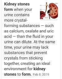 Is Honey Good For Kidney Stones Quora