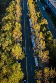 长春净月高新区：提升城市环境品质，让群众生活更舒心- 中国日报网