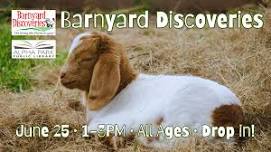 Barnyard Discoveries