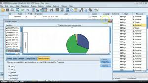 Making A Pie Chart In Spss
