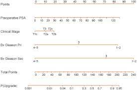 One in seven men in the united states will receive a prostate cancer diagnosis during his lifetime. Prostate Cancer Nomograms An Update European Urology