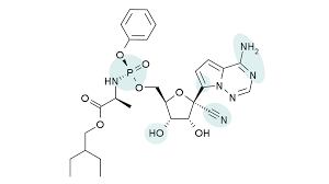 Like most antiviral drugs, remdesivir works by preventing the remdesivir may also have one other benefit: Anatomy Of A Molecule What Makes Remdesivir Unique
