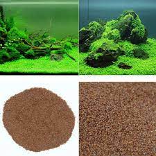 10g Aquarium Aquatic Water Grass Live Plant Glossostigma Hemianthus Callitrichoides Seed Fish Tank Decoratio Fish Tank Plants Fish Tank Decorations Water Grass