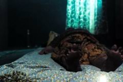 Keranda tok wan terbang elokuvat netissä ilmaiseksi 1080p/720p/480p hd. Keranda Tok Wan Terbang Movie Release Showtimes Trailer Cinema Online
