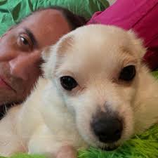 Now that basketball season has started again, I'd really like my New York  Knicks to not make me sit like this....