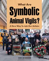 Can't attend or organise a slaughterhouse vigil? No problem — you ...