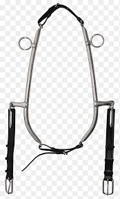 Maybe you would like to learn more about one of these? Kuda Memanfaatkan Bit Stainless Steel Kerah Kuda Kerah Untuk Seekor Kuda Kuda Lain Lain Png Pngegg