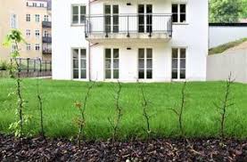 Das günstigste angebot beginnt bei € 30.000. Wohnungen Mit Garten Zu Kaufen In Landshut Immosuchmaschine De