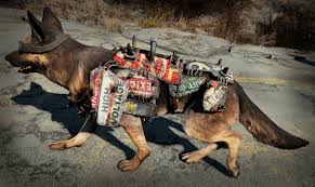 Junkyard Dog Armor At Fallout 4 Nexus Mods And Community Worried about dogmeat getting hacked at, blown up and shot?