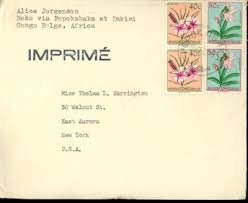Image result for Ipomoea ephemera