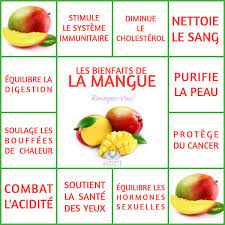 Mangue Bio Food Nutritional Snacks Simple Nutrition