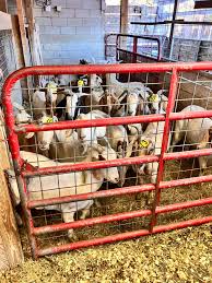 Some of what is here 8/10/2024