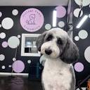 VILLAGE PAWS GROOMING SALON - Updated May 2024 - 1425 W Belmont ...