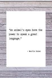 Martin Buber Quote Poster Animal Rights Quote Vegan Quote Etsy Vegan Quotes Animal Rights Quotes Quote Posters