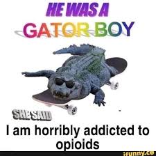 Pin On Funny Demi Lovato Memes