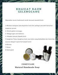Daun mangga baik untuk semua jenis masalah pernapasan, terutama berguna bagi orang yang menderita bronkitis dan asma. Comeycare Hq Khasiat Daun Gelenggang Cassia Alata Facebook