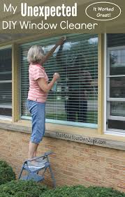 Click the link below to find out how to get your windows sparkling clean without having to dry them! My Unexpected Diy Window Cleaner The Make Your Own Zone