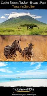 Over the time it has been ranked as high as 245 103 in the world, while most of its traffic comes from madagascar, where it reached as high as. Profil De Tropicalement Votre Createur De Voyages Tropicalementvotre Pinterest