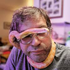 danielle, Author at Morning Metaphor