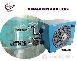 Maybe you would like to learn more about one of these? Mini Aquarium Chillers Mini Aquarium Aquarium Chiller Small Aquarium