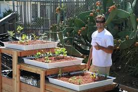 Custom 3 Table Flood And Drain System Backyard Aquaponics Aquaponics Aquaponic Gardening