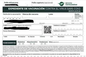 Descarga aquí el formato de registro para recibir la vacuna vs covid. Como Descargar Tu Expediente De Vacunacion Contra Covid 19 El Sol De Mexico Noticias Deportes Gossip Columnas