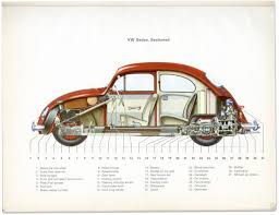 Image result for Grey 1964 Fleet