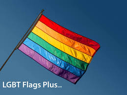 I decided to make this quiz because it's fun, i've learned about a few myself this year, and it's almost the end of pride month! Lgbt Flags Photos Facebook