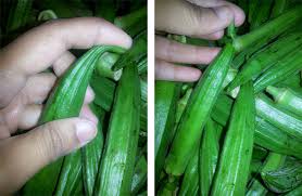 Yang kita lakukan langkah pertama kupas kacang yang unggul dipublikasikan tanggal 9 desember 2019 cara tanam kacang tanah di musim hujan. Cara Mudah Pilih Bendi Segar Yang Baru Nak Belajar Masuk Pasar Sila Baca Gaya Hidup Cari Infonet