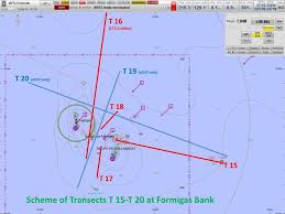 Als kunde & kontoinhaber bei der hvb können sie jederzeit bequem & sicher online geld überweisen, ihr konto einsehen & ihre finanzen regeln. 2 Scheme Of The Transects Worked At Formigas Bank Red Coloured Download Scientific Diagram
