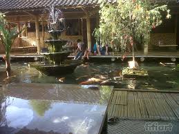 Warung Bambu Makan Diatas Kolam Koi Kolam Ikan Hotel Kota