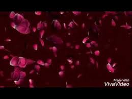 Romantic Whatsapp Status Female Version Channa Mereya Youtube Best Love Songs Song Status Love Status Whatsapp
