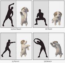 Image result for Recreation Pets Dogs Web Graphics