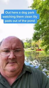 Lily Pad in Pond Tractor Removal