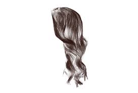 These hair brushes can provide a. Free Hair Brush Photoshop Collection