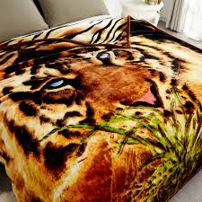 Thick Chinese Blankets Off 68