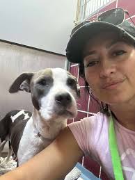 Cute Puppy Posts Bringing Joy to Rapid City, Michigan