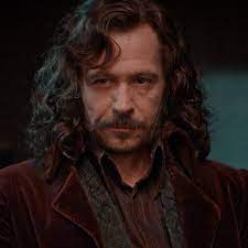 Icon Sirius Black Harry Potter Sirius Harry Potter Pictures Harry Potter Icons
