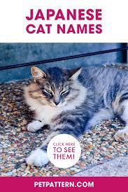 Pin On Cat Names