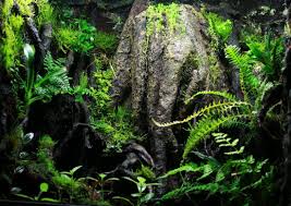 Pin By Pmsnymaniii On Vivarium Terrarium Paludarium Construction Ideas And Design Insperation Dart Frog Vivarium Frog Tank Dart Frog Tank