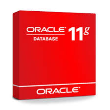 Oracle 11 g for computers of 64 bit are available on the official site of oracle for free downloads, you can download them for free from any corner of the world and you can download them any time. Oracle 11g Free Download All Pc World