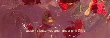 Pink Skies Lany Header In 2020 Twitter Header Pink Twitter Header Twitter Header Aesthetic