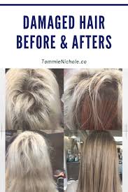 Are You Looking For The Best Ways To Repair Your Damaged Hair It Won T Hold Its Style It S Got No Volume Damaged Hair Bleach Damaged Hair Heat Damaged Hair