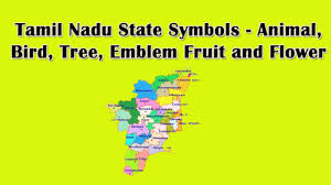 Tamil Nadu State Symbols Animal Bird Tree Emblem Fruit And Flower Youtube